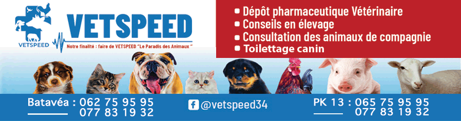 CABINET VETERINAIRE VET SPEED